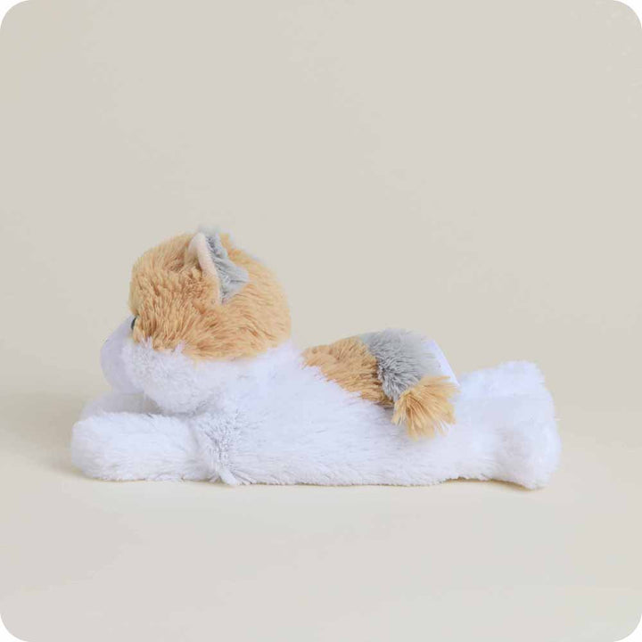 Calico Cat Warmies Junior